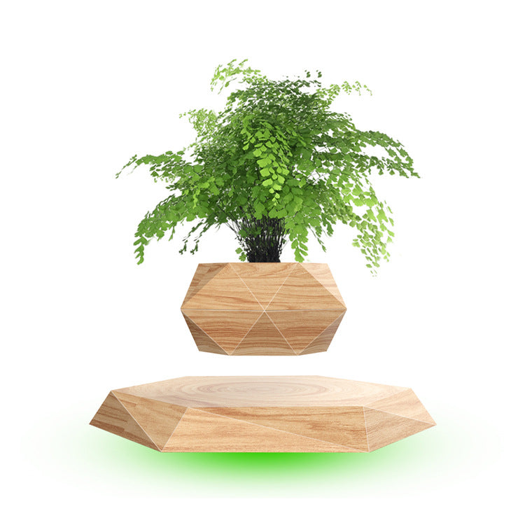 Magnetic Floating Bonsai Plant – Levitating Desk Décor Gift for Home & Office